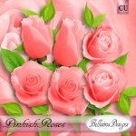 Pinkish Roses