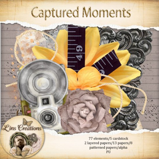 Captured Moments - Click Image to Close