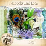Peacocks and Lace