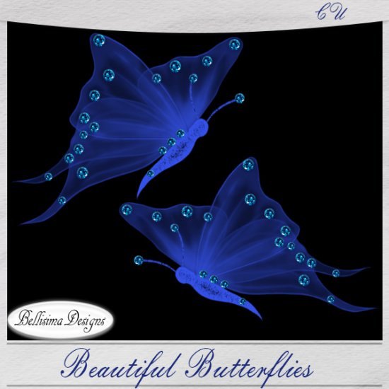 Beautiful Butterflies - Click Image to Close