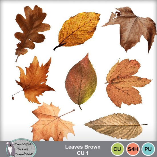 Leaves Brown CU1 - Click Image to Close