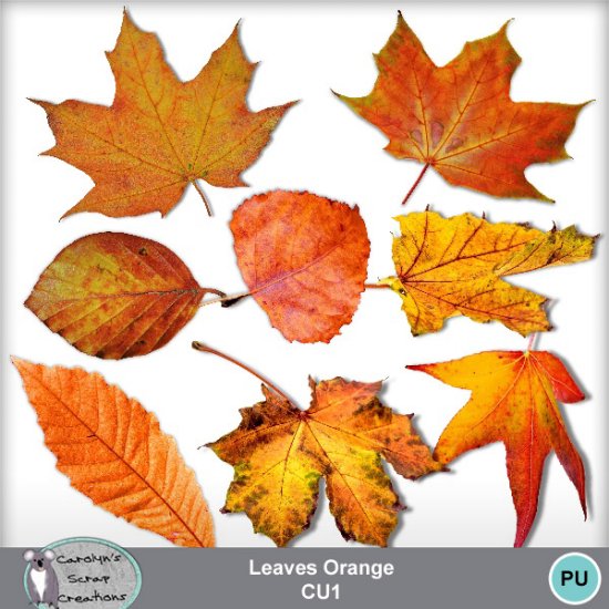 Leaves Orange CU1 - Click Image to Close