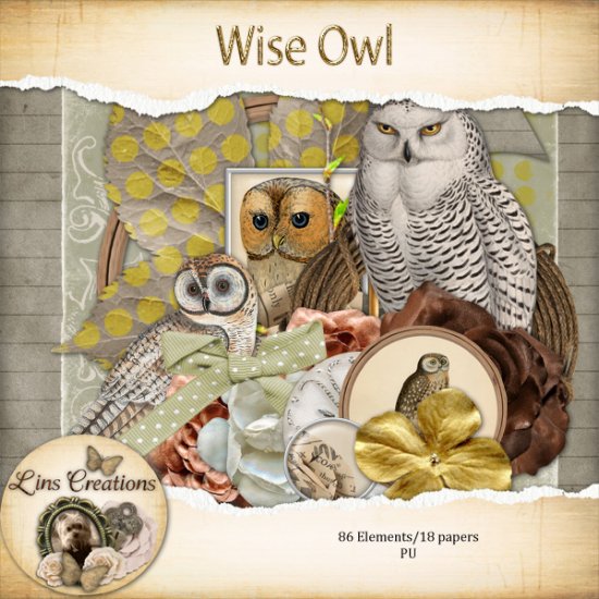 Wise Owl - Click Image to Close