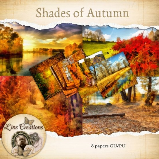 Shades of Autumn - Click Image to Close