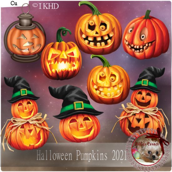 DC_CU Halloween Pumpkins 2021 - Click Image to Close