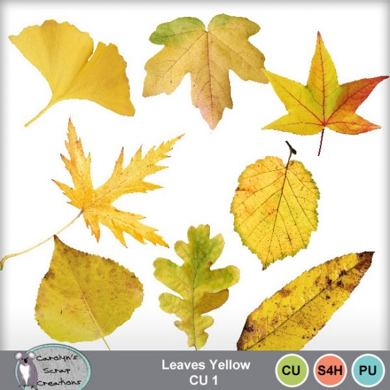 Leaves Yellow CU1 - Click Image to Close