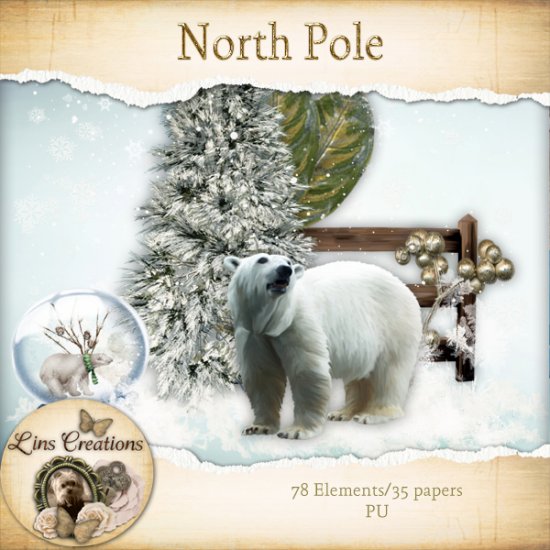 North Pole - Click Image to Close
